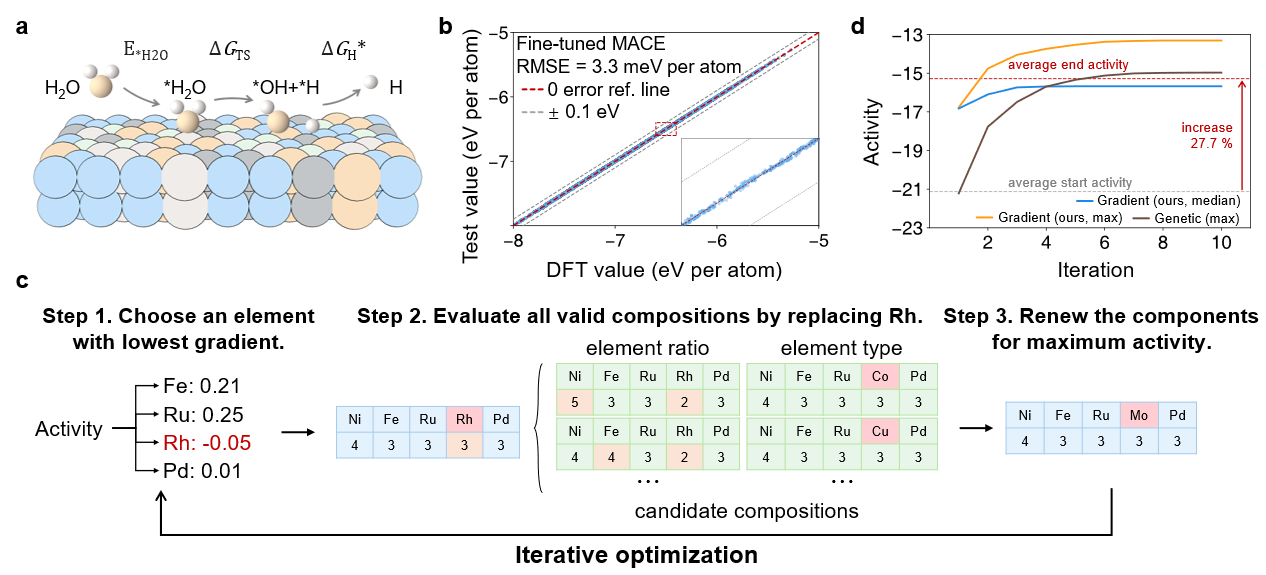 Evaluation and Optimization of HER Activity in HEA